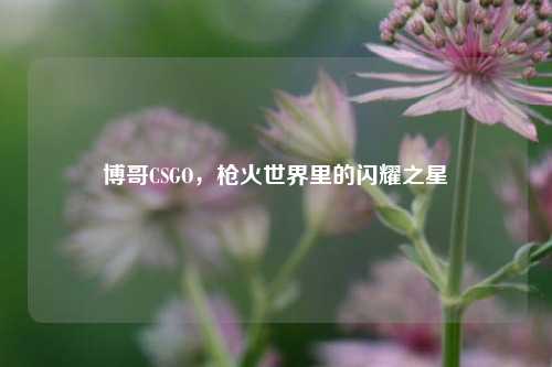 博哥CSGO，枪火世界里的闪耀之星