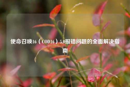 使命召唤16（COD16）5.0报错问题的全面解决指南