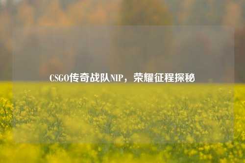 CSGO传奇战队NIP，荣耀征程探秘