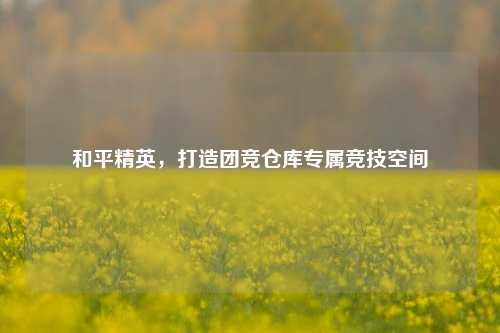 和平精英，打造团竞仓库专属竞技空间