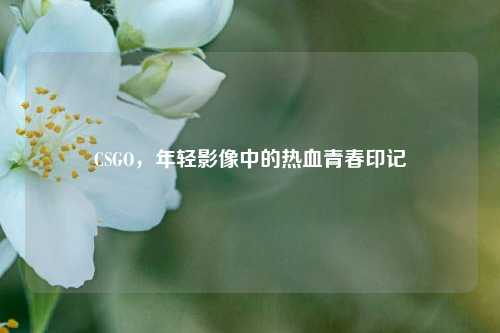 CSGO，年轻影像中的热血青春印记