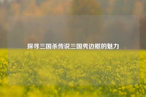 探寻三国杀传说三国秀边框的魅力