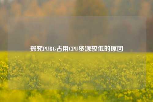 探究PUBG占用CPU资源较低的原因