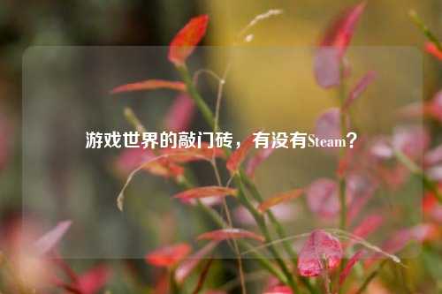 游戏世界的敲门砖，有没有Steam？