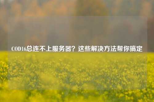 COD16总连不上服务器？这些解决方法帮你搞定
