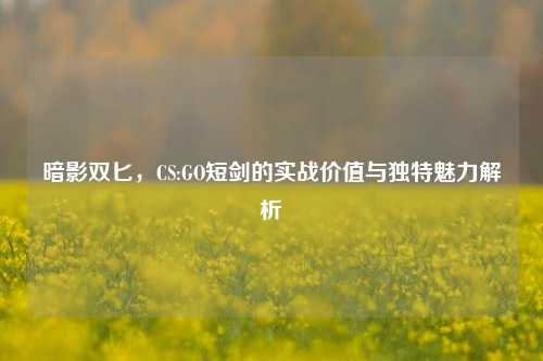 暗影双匕，CS:GO短剑的实战价值与独特魅力解析