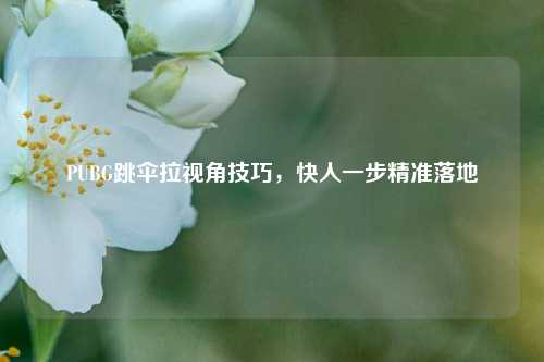 PUBG跳伞拉视角技巧，快人一步精准落地