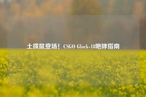 土拨鼠登场！CSGO Glock-18咆哮指南