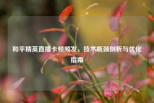 和平精英直播卡顿频发，技术瓶颈剖析与优化指南