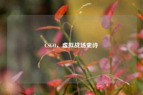 CSGO，虚拟战场史诗