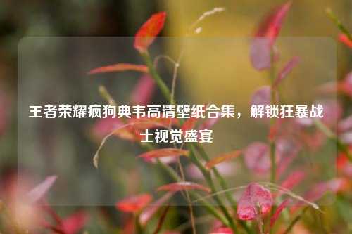 王者荣耀疯狗典韦高清壁纸合集，解锁狂暴战士视觉盛宴
