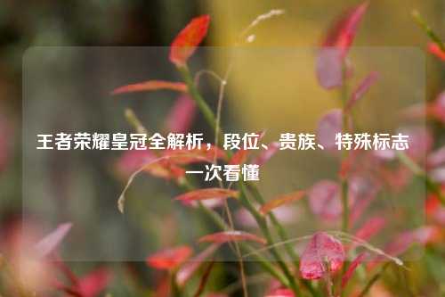 王者荣耀皇冠全解析，段位、贵族、特殊标志一次看懂