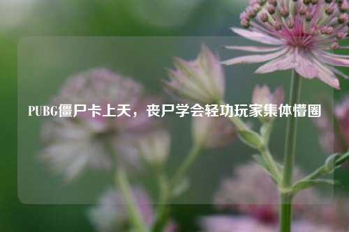 PUBG僵尸卡上天，丧尸学会轻功玩家集体懵圈