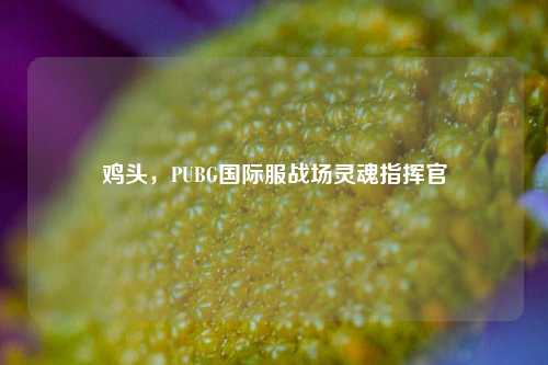 鸡头，PUBG国际服战场灵魂指挥官