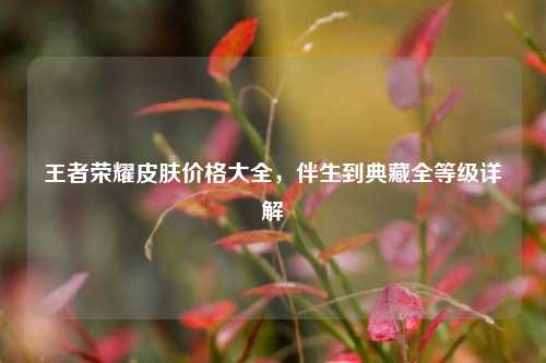 王者荣耀皮肤价格大全，伴生到典藏全等级详解