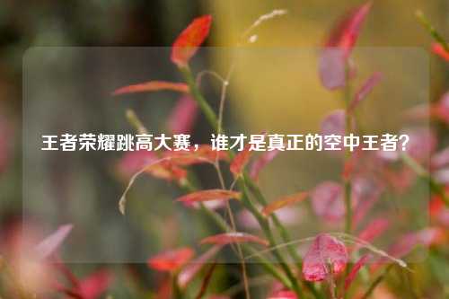 王者荣耀跳高大赛，谁才是真正的空中王者？