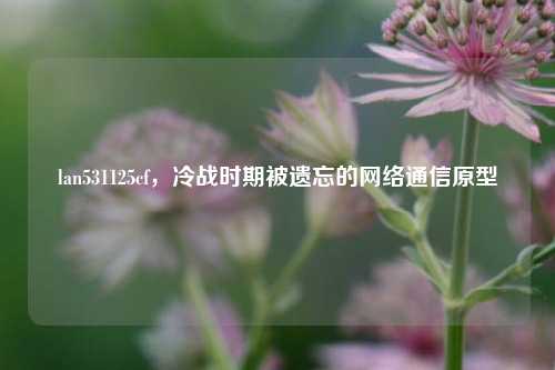 lan531125cf，冷战时期被遗忘的网络通信原型