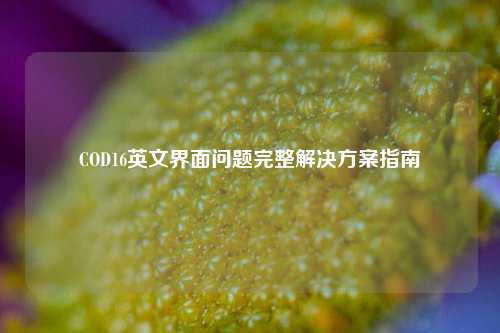 COD16英文界面问题完整解决方案指南