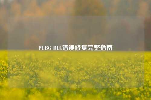 PUBG DLL错误修复完整指南