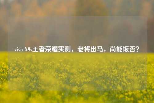 vivo X9s王者荣耀实测，老将出马，尚能饭否？