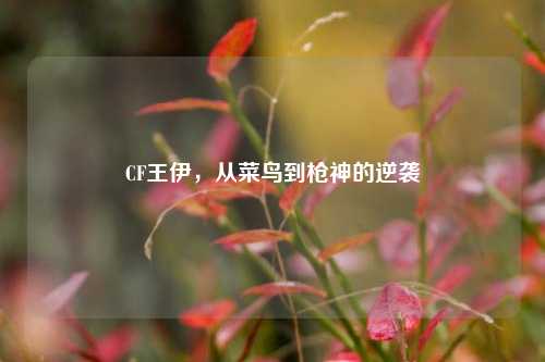 CF王伊，从菜鸟到枪神的逆袭
