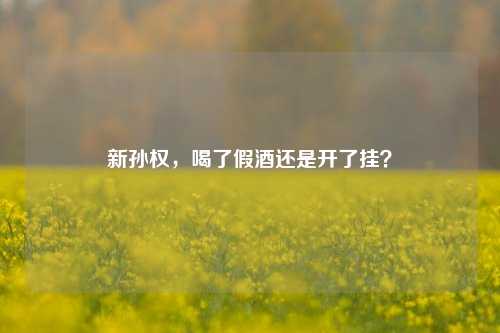 新孙权，喝了假酒还是开了挂？