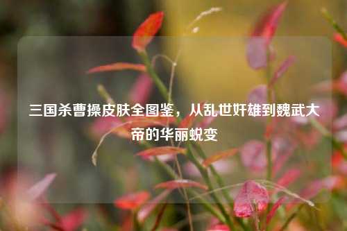 三国杀曹操皮肤全图鉴，从乱世奸雄到魏武大帝的华丽蜕变