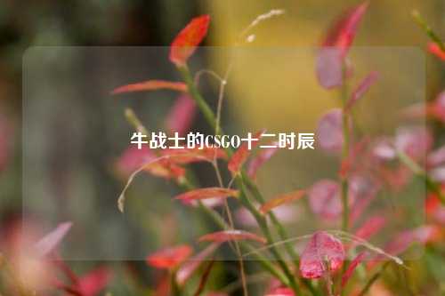 牛战士的CSGO十二时辰