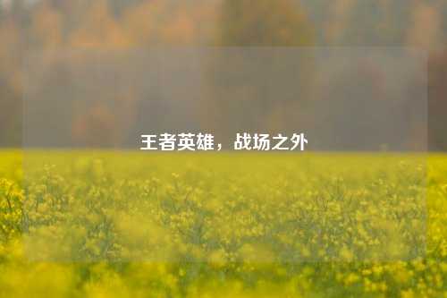 王者英雄，战场之外