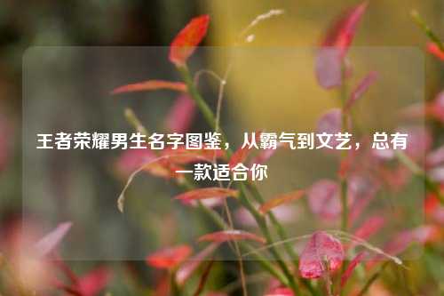 王者荣耀男生名字图鉴，从霸气到文艺，总有一款适合你