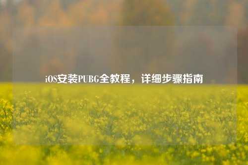 iOS安装PUBG全教程，详细步骤指南