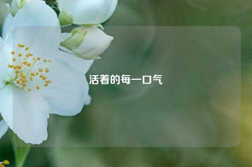 活着的每一口气