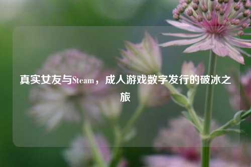 真实女友与Steam，成人游戏数字发行的破冰之旅