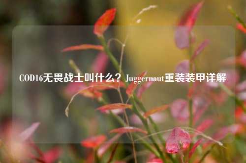COD16无畏战士叫什么？Juggernaut重装装甲详解