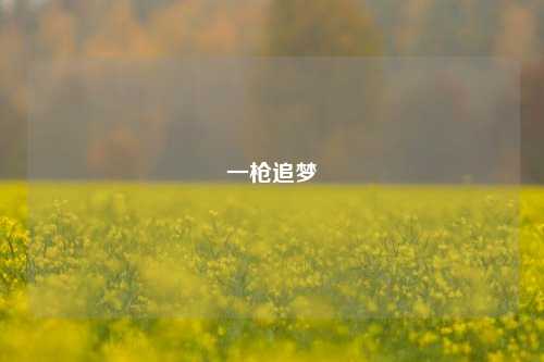 一枪追梦