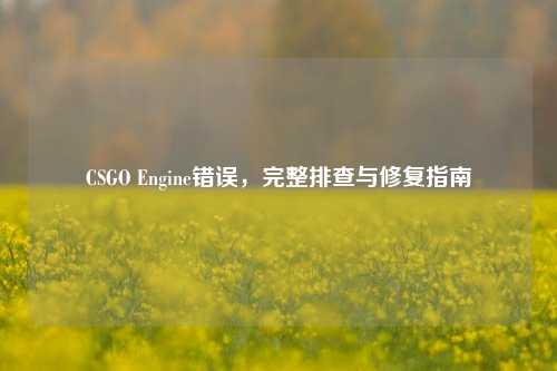 CSGO Engine错误，完整排查与修复指南