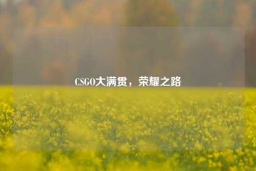 CSGO大满贯，荣耀之路