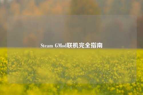 Steam GMod联机完全指南