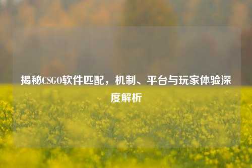揭秘CSGO软件匹配，机制、平台与玩家体验深度解析