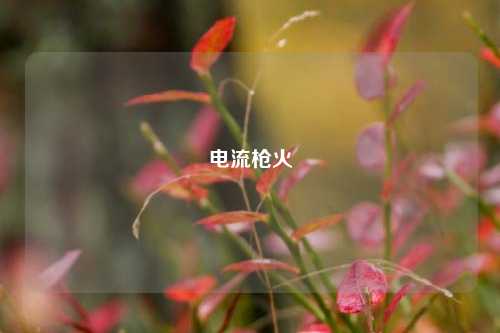 电流枪火