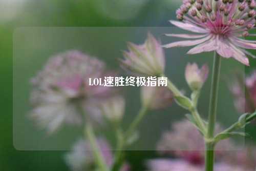 LOL速胜终极指南