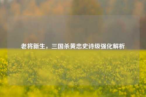 老将新生，三国杀黄忠史诗级强化解析