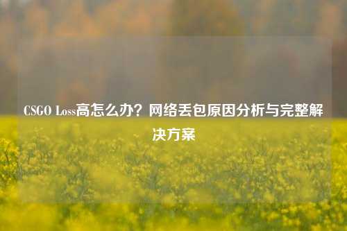 CSGO Loss高怎么办？网络丢包原因分析与完整解决方案