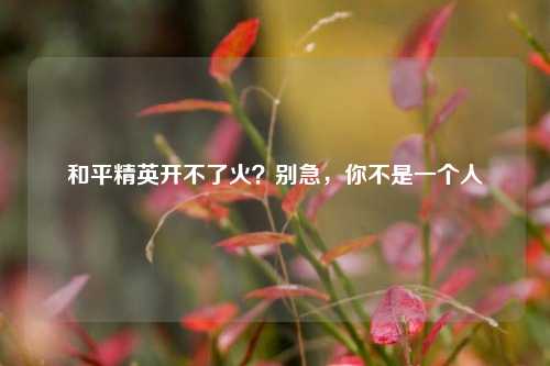 和平精英开不了火？别急，你不是一个人