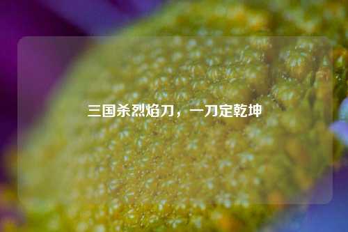 三国杀烈焰刀，一刀定乾坤