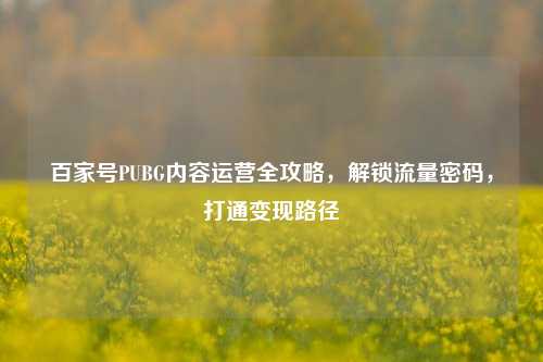 百家号PUBG内容运营全攻略，解锁流量密码，打通变现路径
