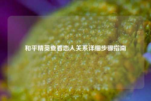 和平精英查看恋人关系详细步骤指南