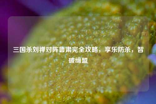 三国杀刘禅对阵鲁肃完全攻略，享乐防杀，智破缔盟