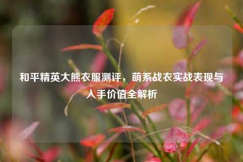 和平精英大熊衣服测评，萌系战衣实战表现与入手价值全解析