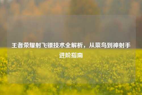 王者荣耀射飞镖技术全解析，从菜鸟到神射手进阶指南